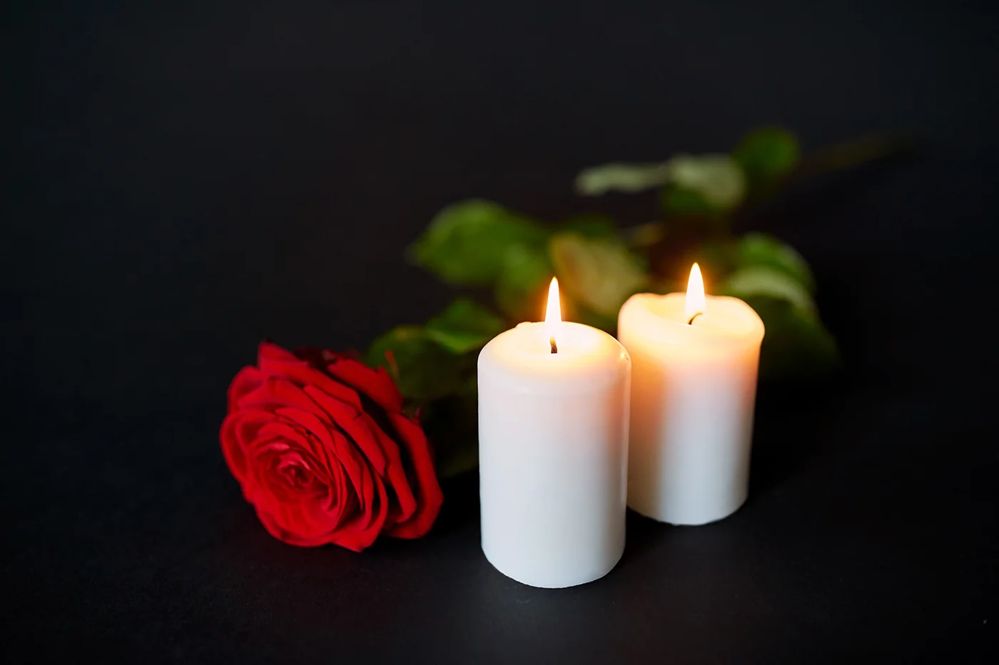 A red rose and remembrance candles, from the original website